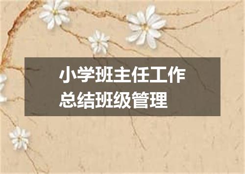 小学班主任工作总结班级管理