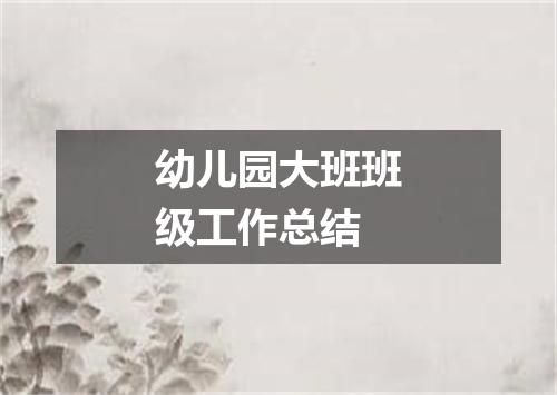 幼儿园大班班级工作总结