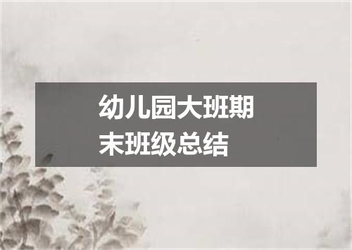 幼儿园大班期末班级总结