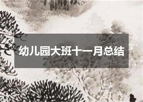 幼儿园大班十一月总结