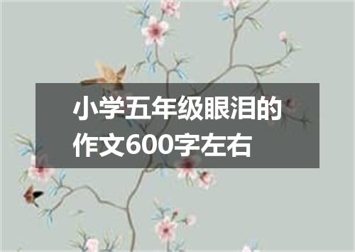 小学五年级眼泪的作文600字左右