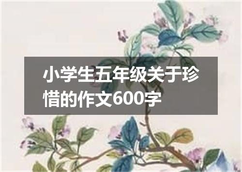 小学生五年级关于珍惜的作文600字