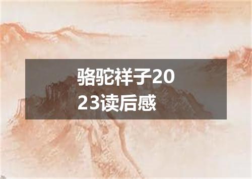 骆驼祥子2023读后感