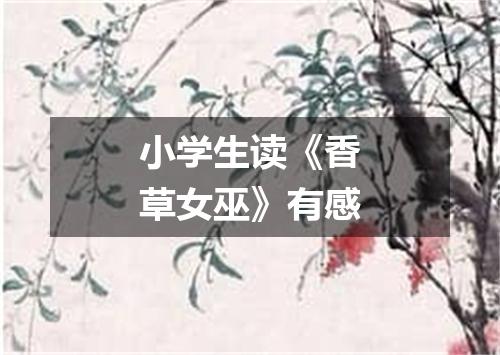 小学生读《香草女巫》有感