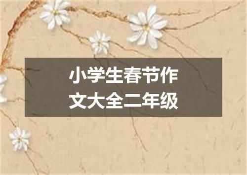 小学生春节作文大全二年级