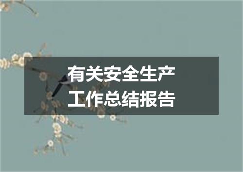 有关安全生产工作总结报告
