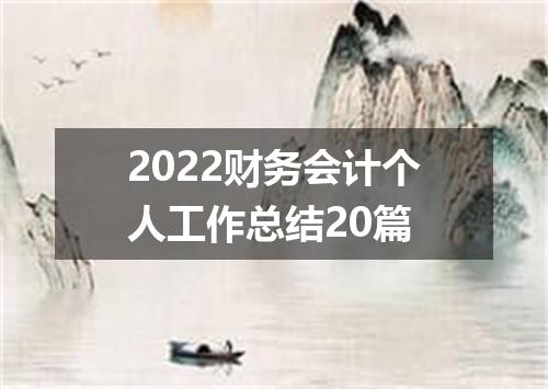 2022财务会计个人工作总结20篇