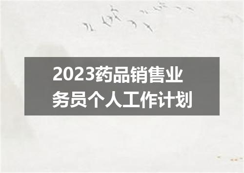 2023药品销售业务员个人工作计划