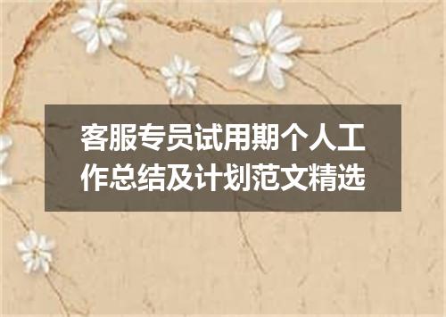 客服专员试用期个人工作总结及计划范文精选