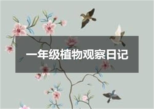 一年级植物观察日记