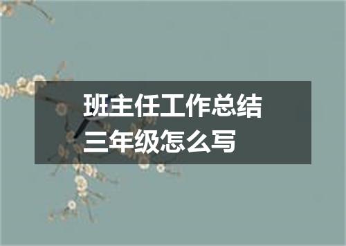 班主任工作总结三年级怎么写