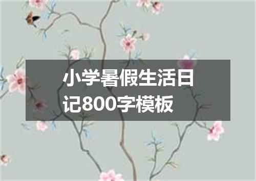 小学暑假生活日记800字模板
