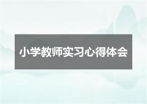 小学教师实习心得体会