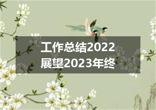 工作总结2022展望2023年终