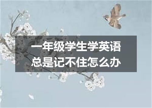 一年级学生学英语总是记不住怎么办