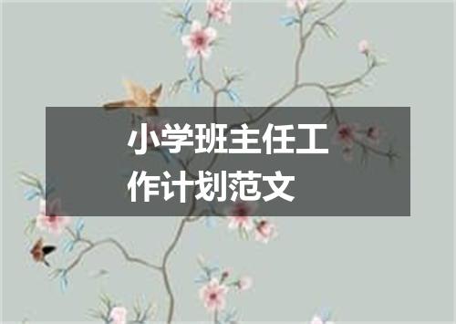 小学班主任工作计划范文