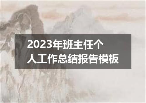 2023年班主任个人工作总结报告模板
