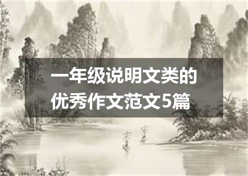 一年级说明文类的优秀作文范文5篇