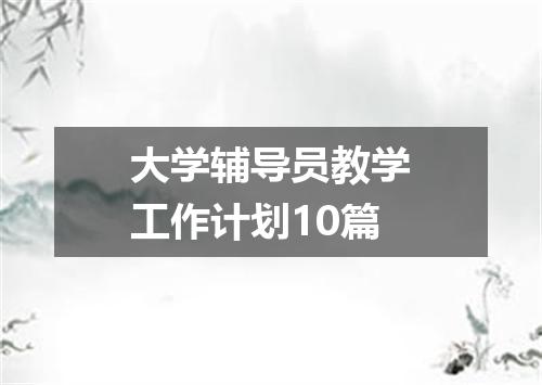 大学辅导员教学工作计划10篇