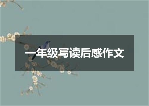 一年级写读后感作文