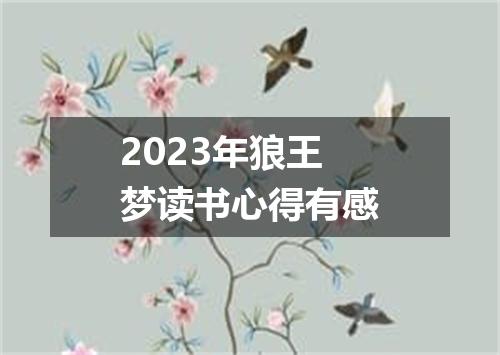 2023年狼王梦读书心得有感