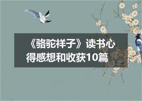 《骆驼祥子》读书心得感想和收获10篇