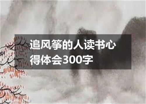 追风筝的人读书心得体会300字