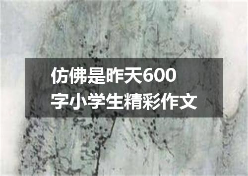 仿佛是昨天600字小学生精彩作文