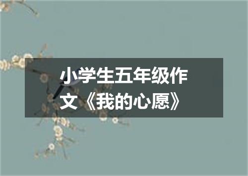 小学生五年级作文《我的心愿》
