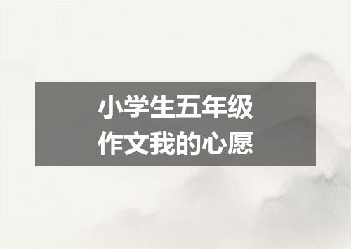 小学生五年级作文我的心愿