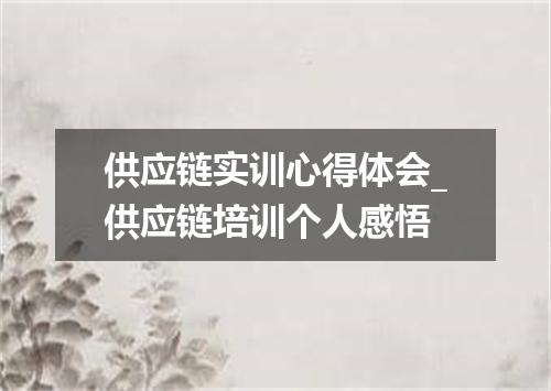供应链实训心得体会_供应链培训个人感悟