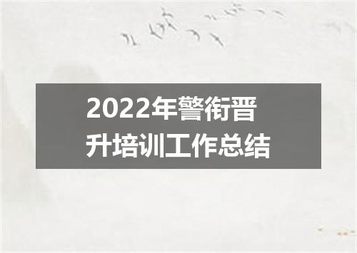 2022年警衔晋升培训工作总结