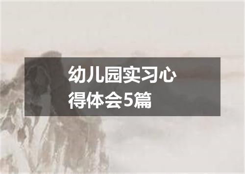 幼儿园实习心得体会5篇