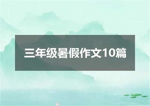 三年级暑假作文10篇
