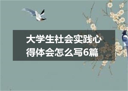 大学生社会实践心得体会怎么写6篇