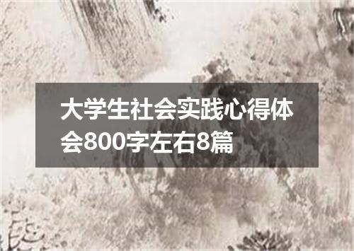 大学生社会实践心得体会800字左右8篇