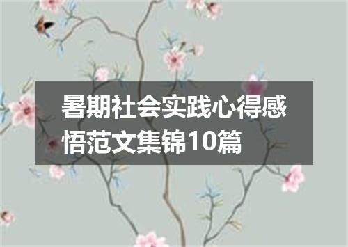 暑期社会实践心得感悟范文集锦10篇