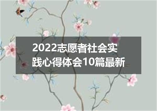 2022志愿者社会实践心得体会10篇最新