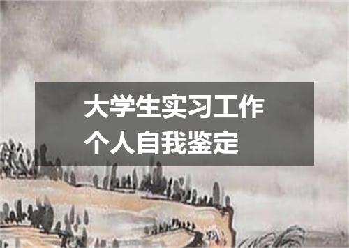 大学生实习工作个人自我鉴定