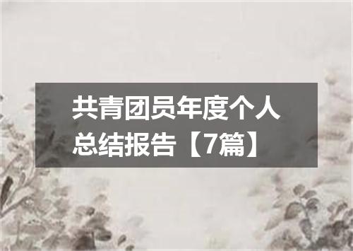 共青团员年度个人总结报告【7篇】