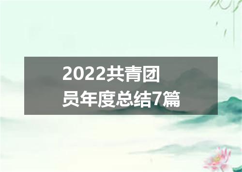 2022共青团员年度总结7篇