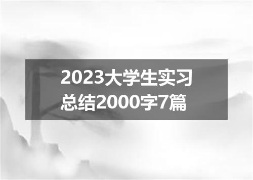 2023大学生实习总结2000字7篇