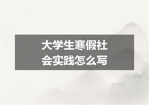 大学生寒假社会实践怎么写