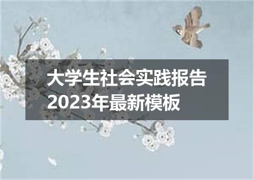 大学生社会实践报告2023年最新模板