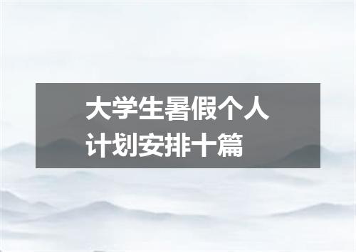 大学生暑假个人计划安排十篇