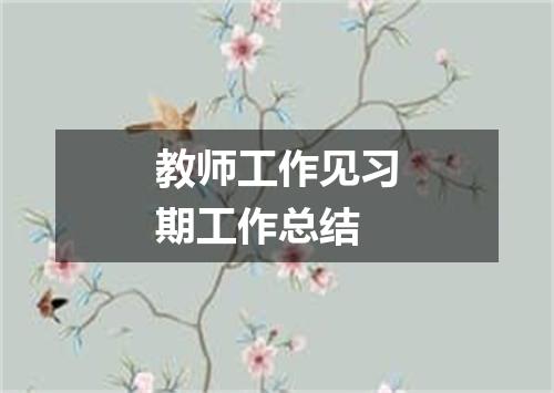 教师工作见习期工作总结
