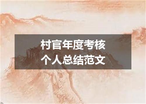 村官年度考核个人总结范文