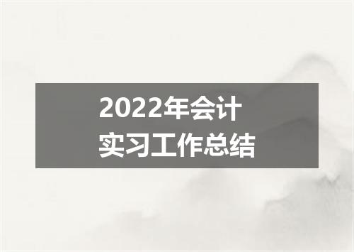 2022年会计实习工作总结