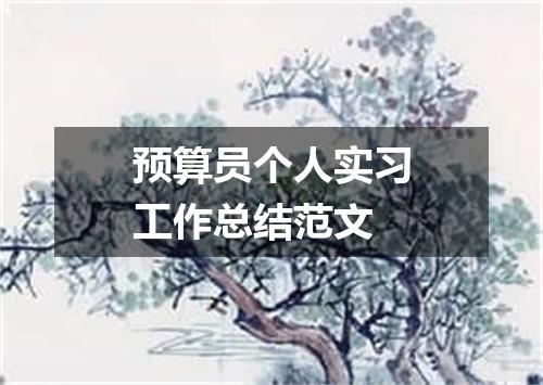 预算员个人实习工作总结范文