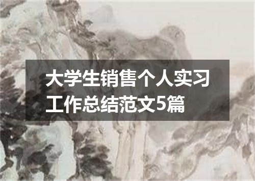 大学生销售个人实习工作总结范文5篇